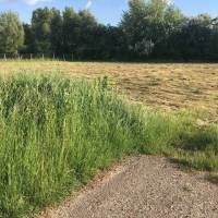 Lakóparknak telek MONOR