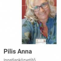 Pilis város belterületén belül ,vegyes falazatú ház vált eladóvá