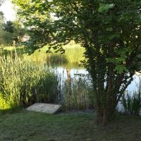 Dömsöd, Duna-parton kertes, 2 hálószobás, felújított szép hétvégi ház eladó