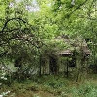 Ráckeve, 40 nm-es ház eladó.