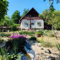 TIP-TOP HÁZ NYARALÓ TANYA ELADÓ