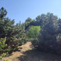 Dabas, CSALÁDI HÁZ parkosított kerttel!