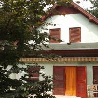 Eladó HÉTVÉGI HÁZ +STÉG RÁCKEVE (KEREKZÁTONY-SZIGET)