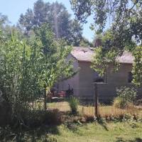 46 nm-es hétvégi ház eladó, ráckeve