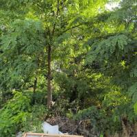 Albertirsa központjában felújítandó családi ház eladó