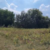 Lajosmizse, eladó terület