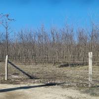 Különböző méretű telkek eladók Dabason!