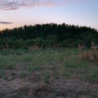 Tápiószentmárton LEGKEDVEZŐBB ÁRÚ TELKE