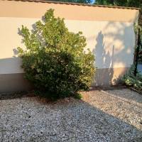 Csendes utcában Tip-top ikerház fél eladó! Teljesen külön bejárattal!