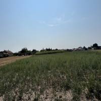 Dabas központjában családi ház eladó, hatalmas területtel, akár befektetésre is!