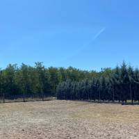 Dabas-Gyón városrészében építesi telek eladó!  ingatlan adatlap