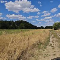 Albertirsán a Baltás dülőben 3194nm-es szántó, két utcára nyílóan eladó.