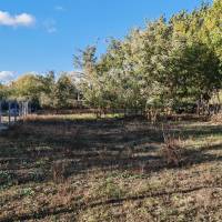 Monorierdőn ÚJ parcellázású telek eladó kedvező áron!!  ingatlan adatlap