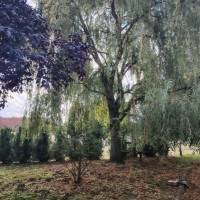 Dabas, ÉPÍTÉSI telek 16 m utcafronttal!