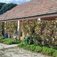 Felújítandó Gangos parasztház várja új tulajdonosát Dabason!  ingatlan adatlap