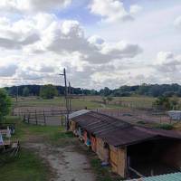 Dabas központjához közel, de mégis csendes helyen telek eladó!