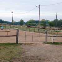 Dabas központjához közel, de mégis csendes helyen telek eladó!