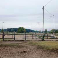 Dabas központjához közel, de mégis csendes helyen telek eladó!