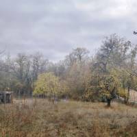 Dabason ÉPÍTÉSI telek eladó BOMBA ÁRON!  ingatlan adatlap