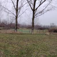 Monor, 5959 nm-es telek eladó  ingatlan adatlap